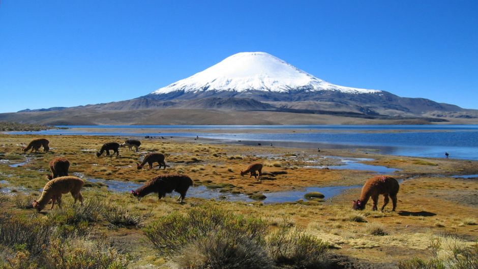 ARICA - PARQUE NACIONAL LAUCA - IQUIQUE, , 