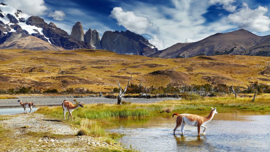 SANTIAGO, TORRES DEL PAINE / EL CALAFATE  (ARGENTINA), , 