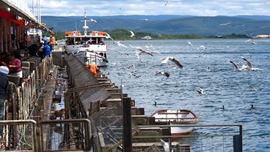 PUCON - VALDIVIA Y PUERTO MONTT O PUERTO VARAS, , 