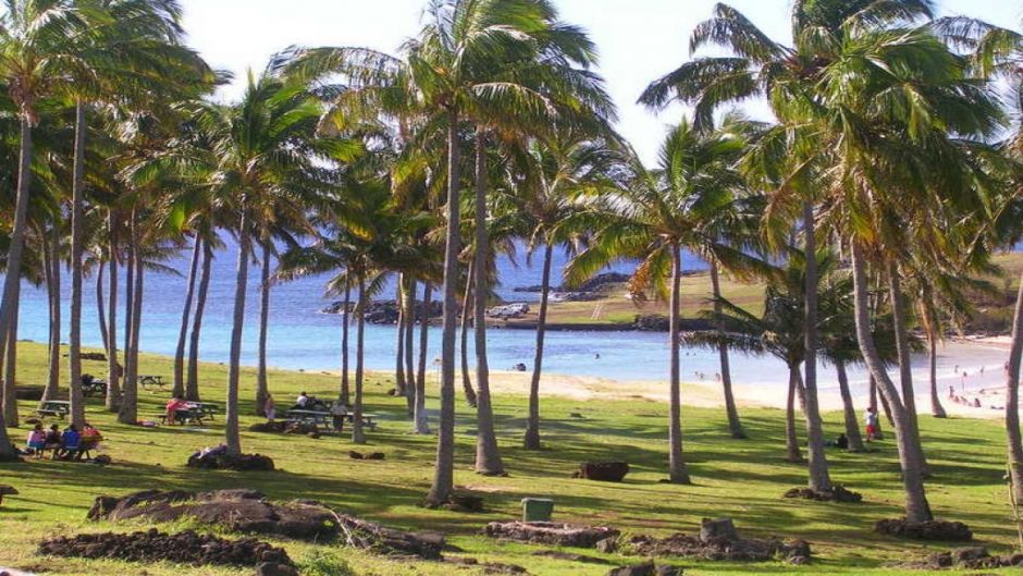 CONOCIENDO ISLA DE PASCUA, , 