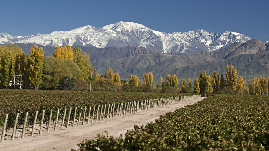 LO MEJOR DE SANTIAGO Y MENDOZA, , 