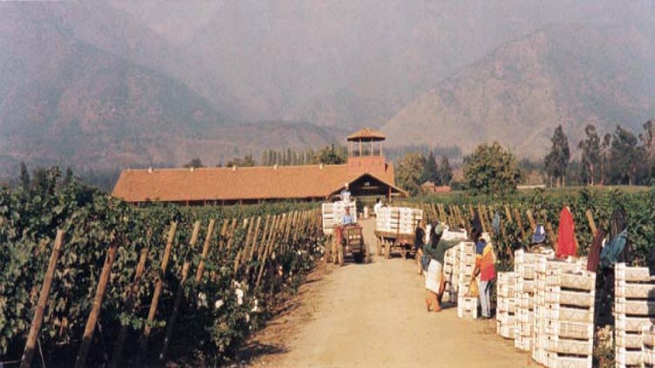 RUTA DEL VINO - VALLE DEL MAIPO EN CHILE, , 