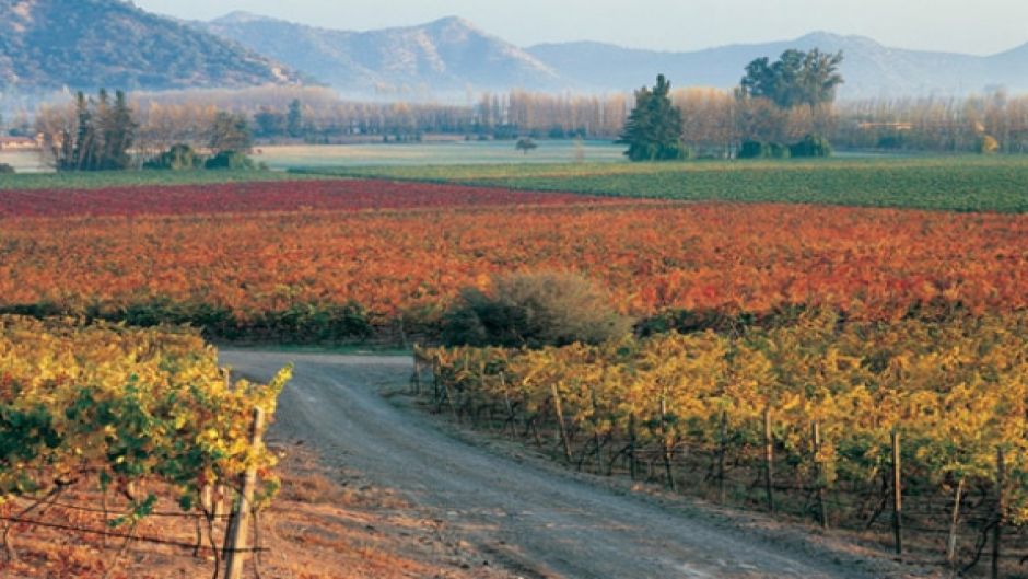 RUTA DEL VINO - VALLE DEL MAIPO EN CHILE, , 