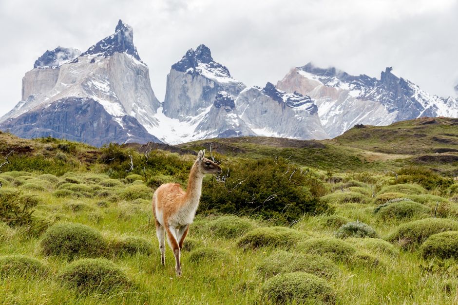 SANTIAGO Y TORRES DEL PAINE, , 