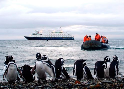 CRUCERO AUSTRALIS // PUNTA ARENAS - USHUAIA