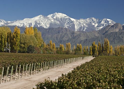 ESPECIAL EN MENDOZA