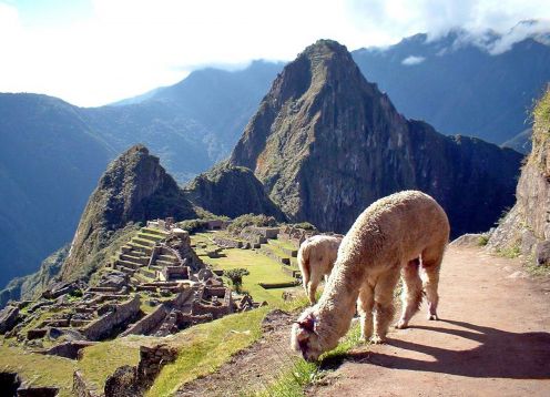 PEREGRINACION SAGRADA A MACHU PICCHU