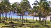 AVENTURA EN ISLA DE PASCUA, , 