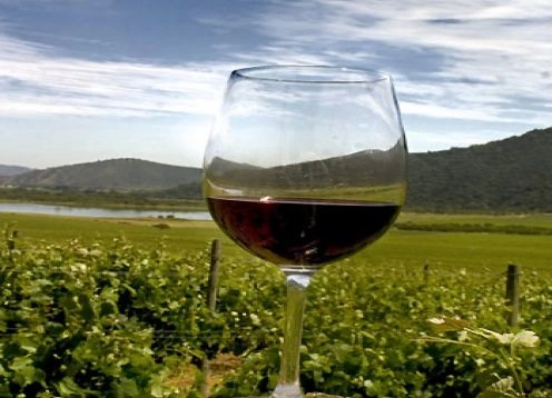 TOUR DEL VINO - VALLE DE CASABLANCA, 