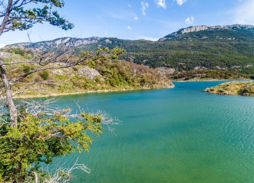 Excursión Al Parque Nacional Tierra Del Fuego, 