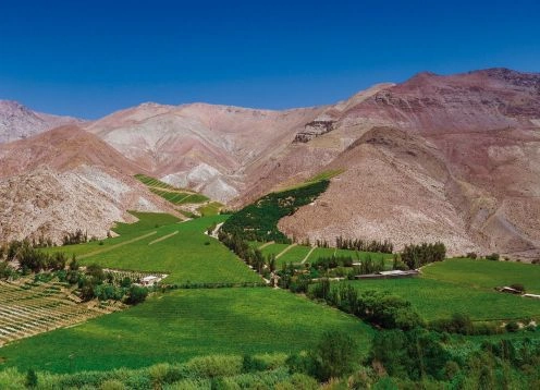 Excursion Al Valle Del Elqui, La Serena