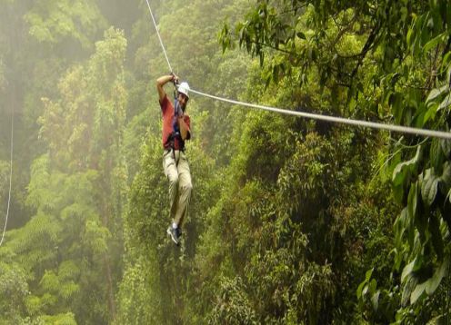 Canopy, Pucon