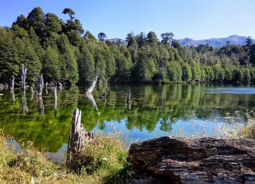 Trekking Parque Nacional Conguillio, Temuco