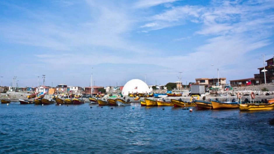 Tour Caleta Chanaral  de Aceituno - (Avistamiento de Ballenas), La Serena, CHILE