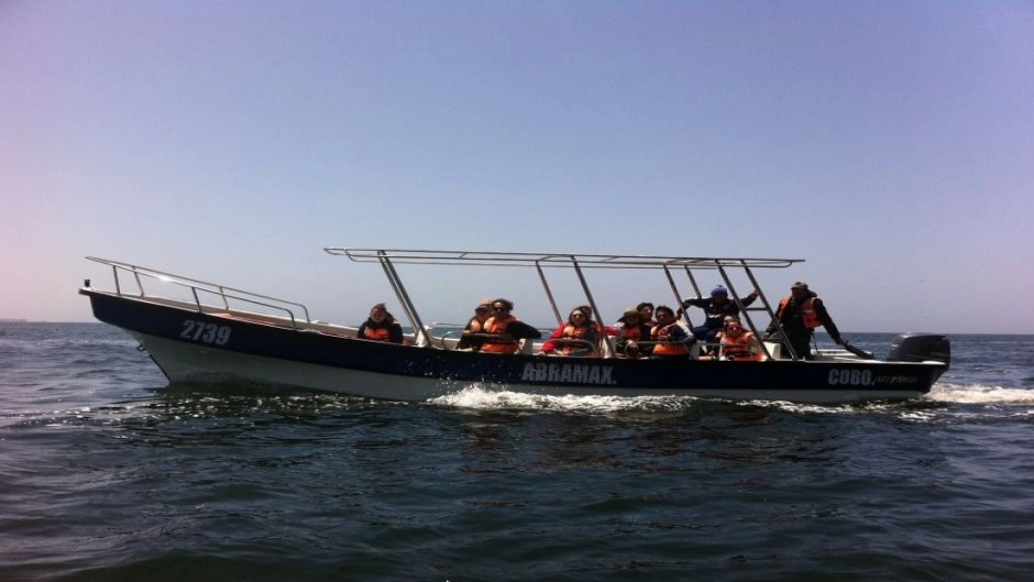 Tour Caleta Chanaral  de Aceituno - (Avistamiento de Ballenas), La Serena, CHILE