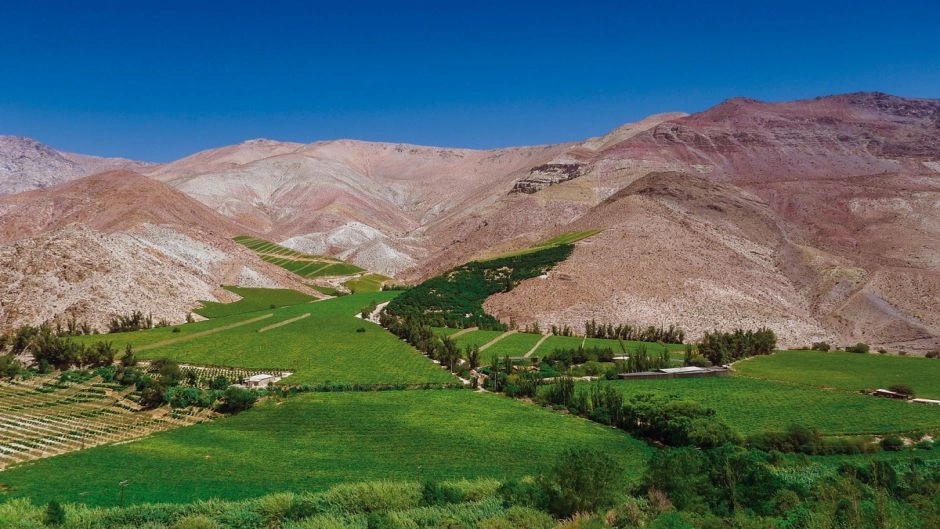 Tour Ruta del Pisco, visitando los Nichos y Capel, La Serena, CHILE