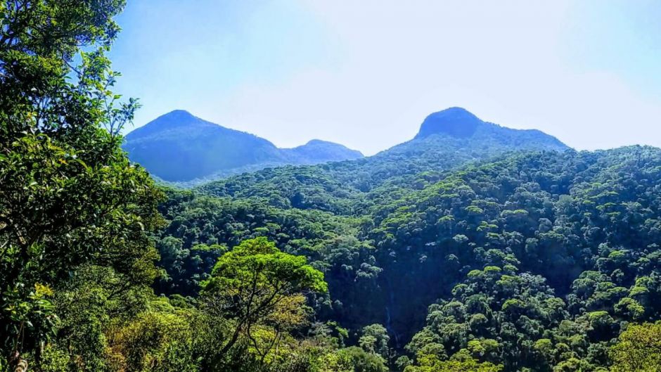 Trekking Parque Nacional Tijuca, Rio de Janeiro, Río de Janeiro, BRASIL