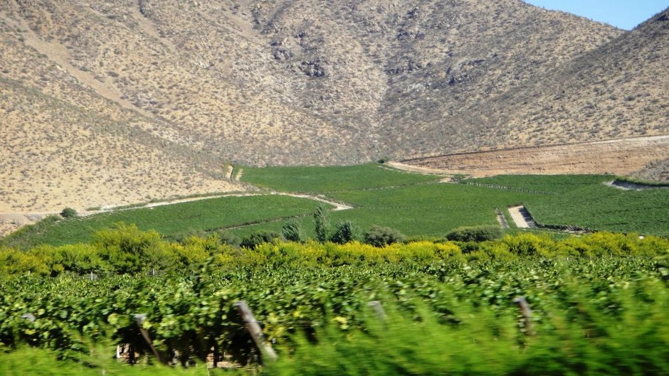 Excursion al Valle del Elqui, La Serena, CHILE