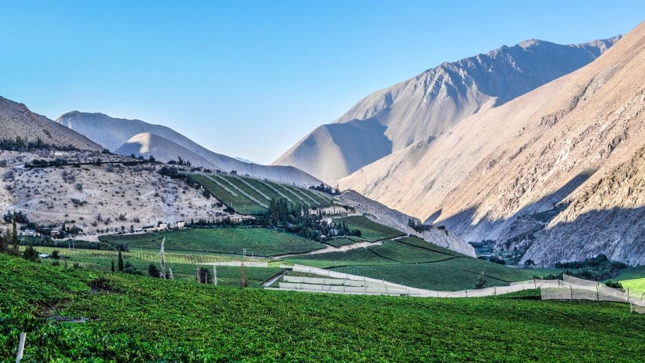 Excursion al Valle del Elqui, La Serena, CHILE