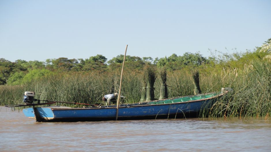 NavegaciÃ³n por el Delta y zona norte, Buenos Aires, ARGENTINA