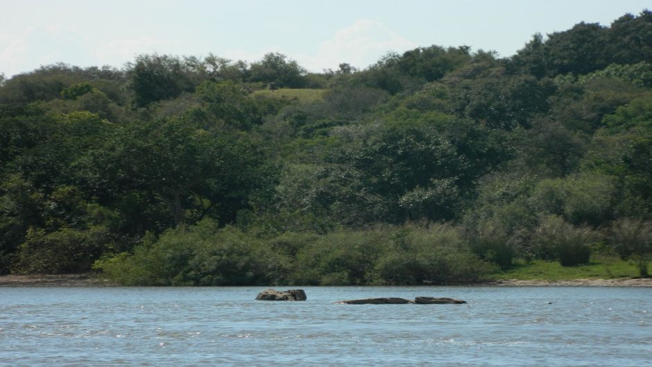 NavegaciÃ³n por el Delta y zona norte, Buenos Aires, ARGENTINA