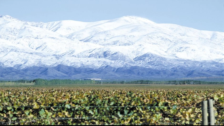 Tour del Vino Valle de Uco, Mendoza, Mendoza, ARGENTINA