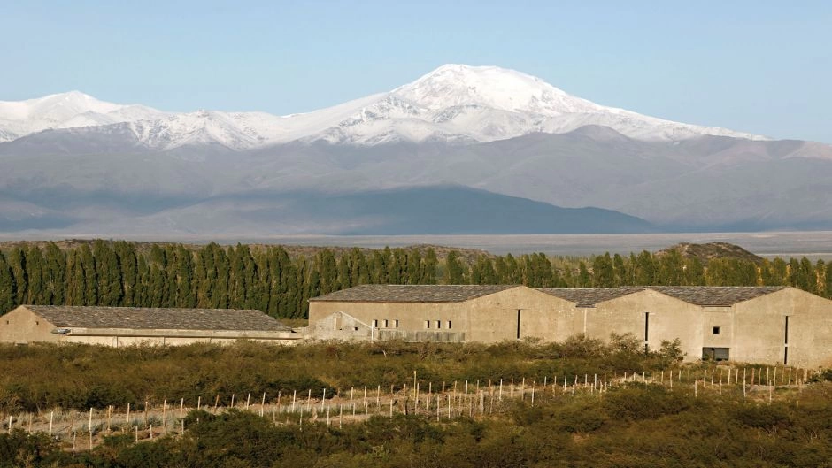 Tour del Vino Valle de Uco, Mendoza, Mendoza, ARGENTINA