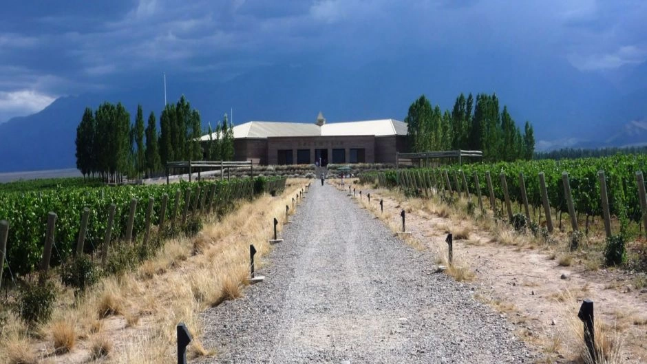 Tour del Vino Valle de Uco, Mendoza, Mendoza, ARGENTINA