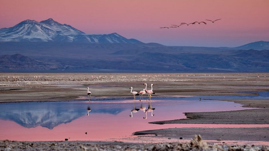 MIRADOR PIEDRAS ROJAS-  LAGUNAS ALTIPLANICAS - SALAR DE ATACAMA , San Pedro de Atacama, CHILE