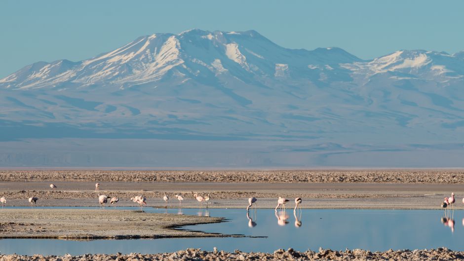 MIRADOR PIEDRAS ROJAS-  LAGUNAS ALTIPLANICAS - SALAR DE ATACAMA , San Pedro de Atacama, CHILE