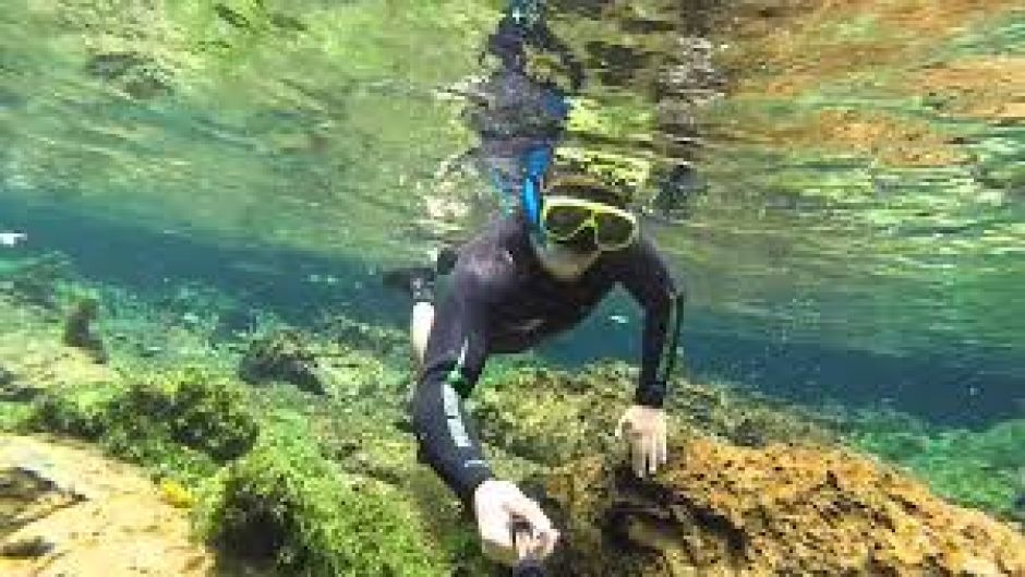 Snorkel en Rio Licura, Pucon, CHILE