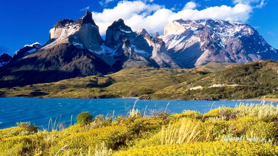 Tour de dia completo al Parque Nacional Torres del Paine, Puerto Natales, CHILE