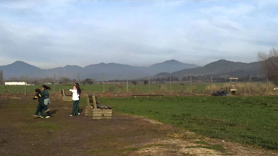 TOUR DEL VINO - VALLE DE CASABLANCA, Santiago, CHILE