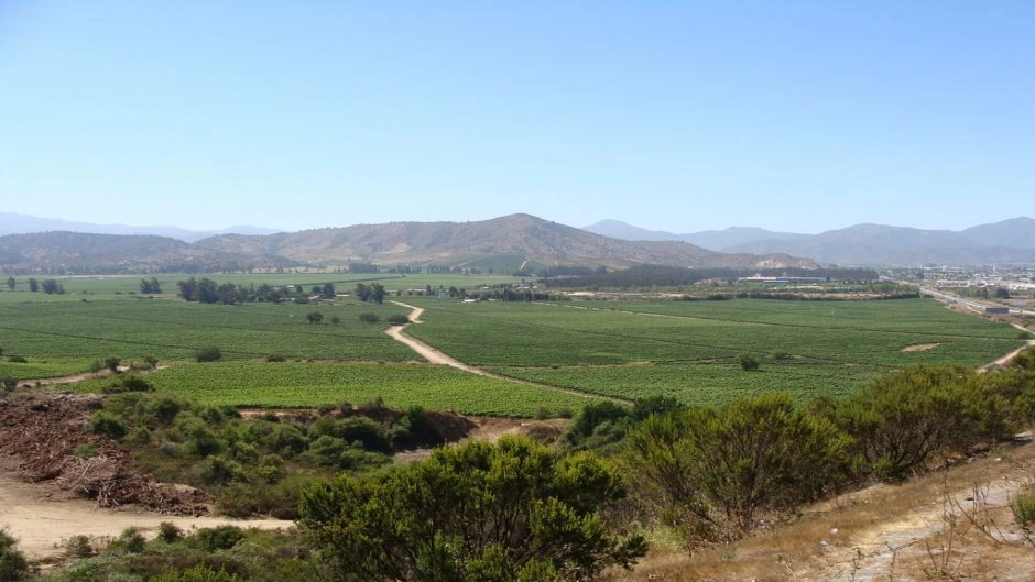 TOUR DEL VINO - VALLE DE CASABLANCA, Santiago, CHILE