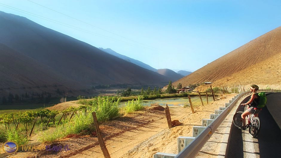 Excursion al Valle del Elqui, La Serena, CHILE