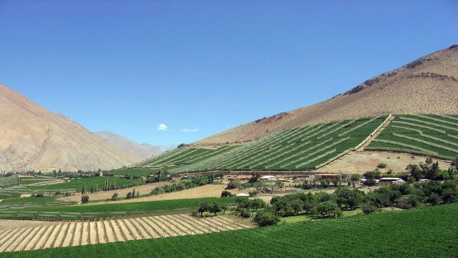 Excursion al Valle del Elqui, La Serena, CHILE