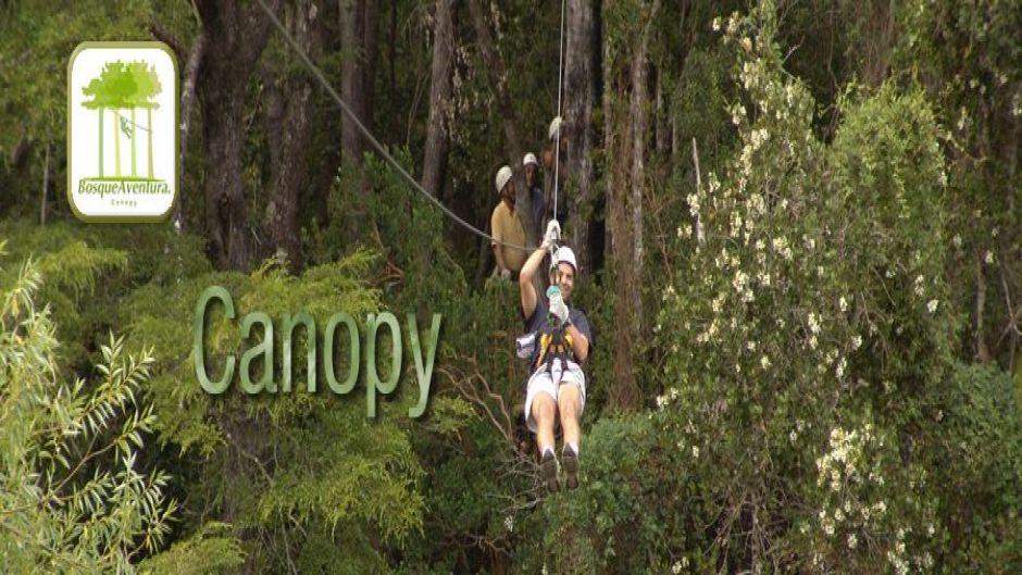 CANOPY, Pucon, CHILE