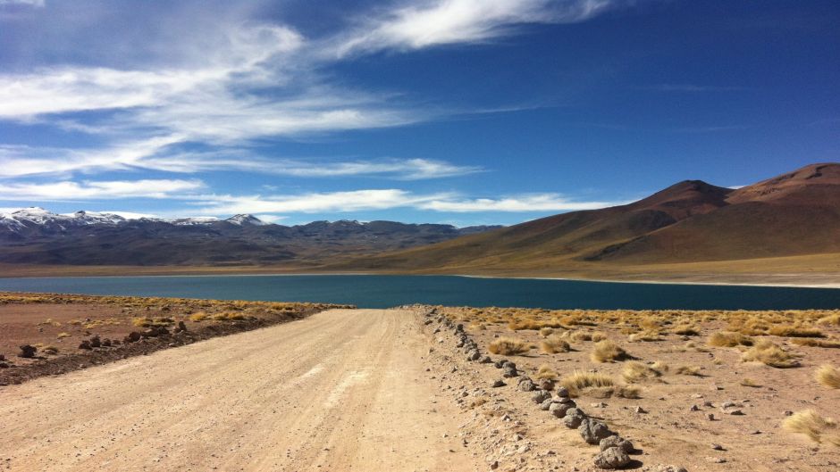 LAGUNAS ALTIPLANICAS -SALAR DE ATACAMA , San Pedro de Atacama, CHILE