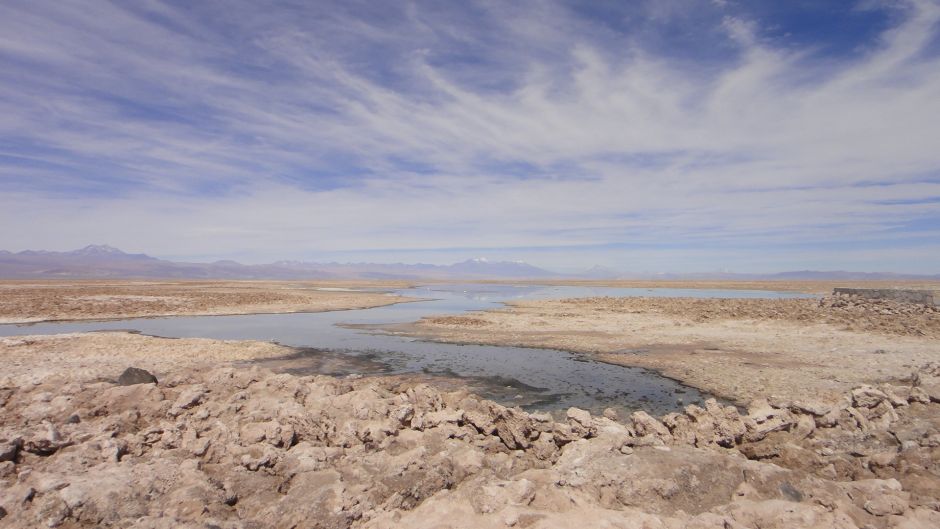 LAGUNAS ALTIPLANICAS -SALAR DE ATACAMA , San Pedro de Atacama, CHILE