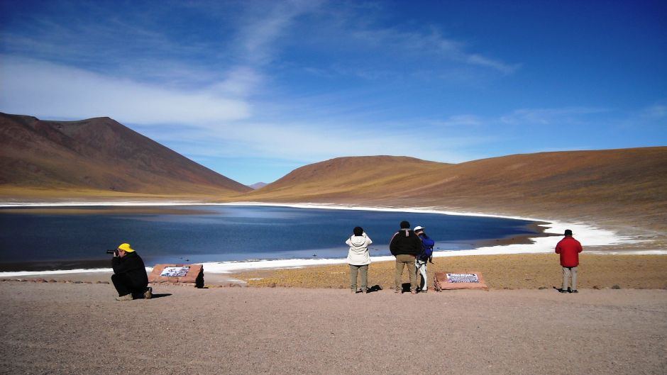 LAGUNAS ALTIPLANICAS -SALAR DE ATACAMA , San Pedro de Atacama, CHILE