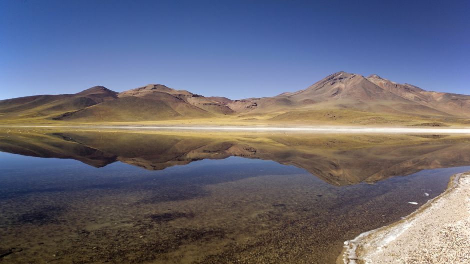 LAGUNAS ALTIPLANICAS -SALAR DE ATACAMA , San Pedro de Atacama, CHILE