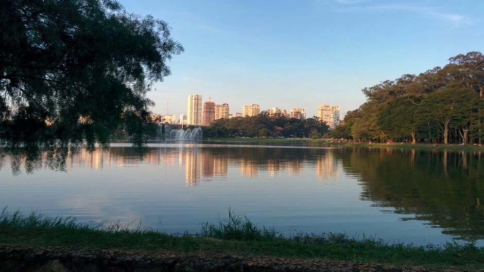 Ibira a Pie, Sao Paulo, BRASIL