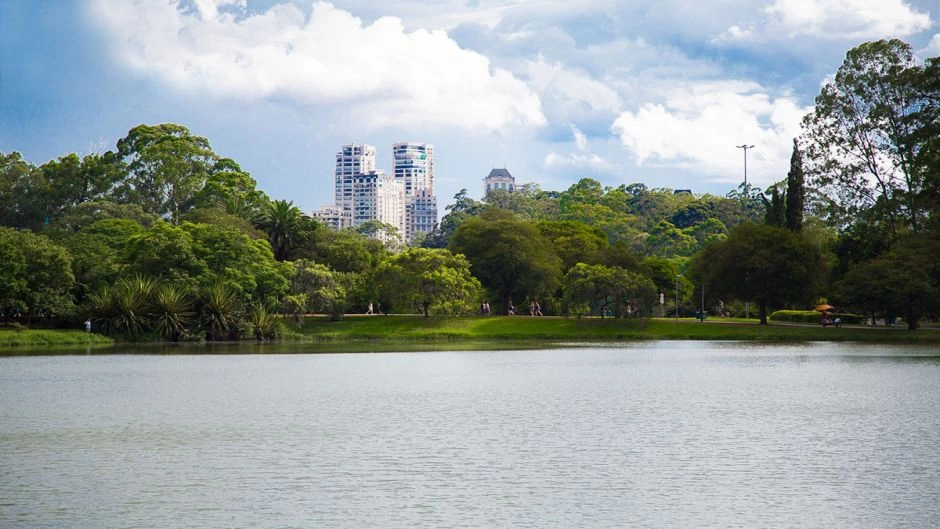 Ibira a Pie, Sao Paulo, BRASIL