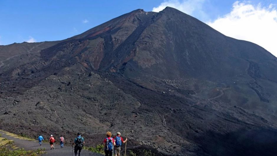 Excursion al Volcan Payaca, Ciudad de Guatemala, GUATEMALA