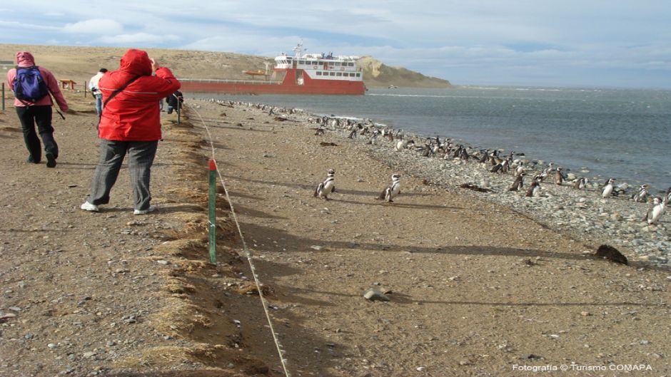 NAVEGACIÃN A PINGÃINERAS FIORDOS DEL SUR II, Punta Arenas, CHILE