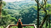 Trekking Parque Nacional Tijuca, Rio de Janeiro, Río de Janeiro, BRASIL