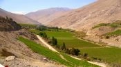 Excursion al Valle del Elqui, La Serena, CHILE