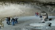 Tour dia completo a Parque Torres del Paine con Navegacion al Glaciar Grey, Puerto Natales, CHILE