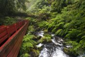 TERMAS GEOMETRICAS, Pucon, CHILE