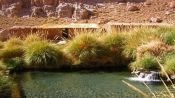 TERMAS DE PURITAMA, San Pedro de Atacama, CHILE